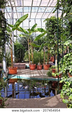 Salaspils Latvia - 13 May 2017 : Orangery of the National Botanic Garden of Latvia.In the greenhouse there is about 2100 species of plants