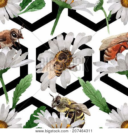 Exotic bee wild insect pattern in a watercolor style. Full name of the insect: bee, honeybee. Aquarelle wild insect for background, texture, wrapper pattern or tattoo.