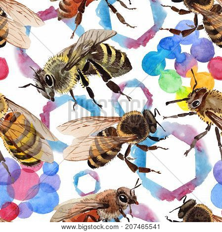 Exotic bee wild insect pattern in a watercolor style. Full name of the insect: bee, honeybee. Aquarelle wild insect for background, texture, wrapper pattern or tattoo.