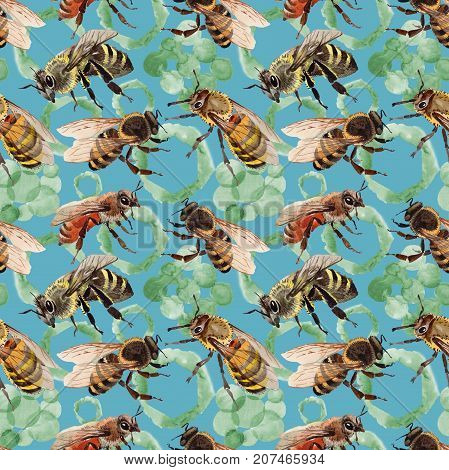 Exotic bee wild insect pattern in a watercolor style. Full name of the insect: bee, honeybee. Aquarelle wild insect for background, texture, wrapper pattern or tattoo.