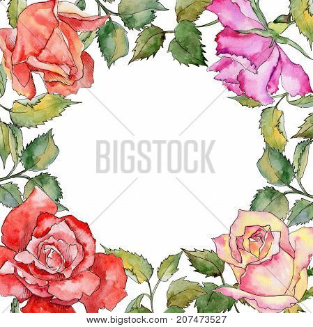 Wildflower rose flower frame in a watercolor style. Full name of the plant: rose. Aquarelle wild flower for background, texture, wrapper pattern, frame or border.