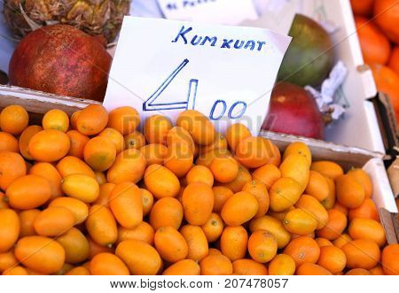 Many Fresh Orange Kumkuat A Tropical Fruit For Sale