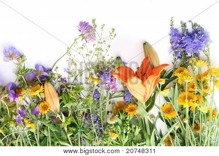 Fiori selvatici su un tavolo bianco
