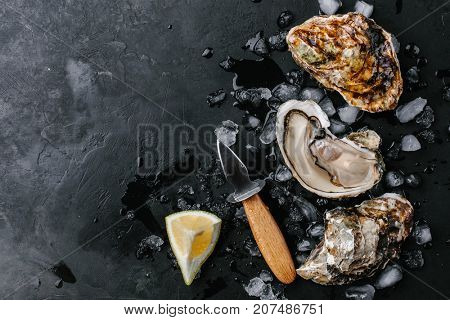 Open oyster with lemon and oyster knife on a dark background. Copy space. view from above