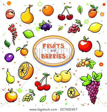 Collection of cartoon juicy fruits and berry. Vector illustration. Set of colorful fruit and berries icons. Isolated on white. Fruit web icon hand drawn in doodle style. On watercolor drops background