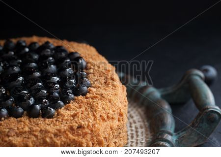Homemade honey cake with blueberries on the dark background