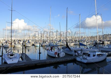 Landscape View Of Westhaven Marina Auckland New Zealand