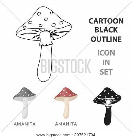 Amanita icon in cartoon style isolated on white background. Mushroom symbol vector illustration.