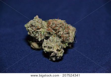 Bugatti OG is an indica dominant hybrid medical cannabis  strain