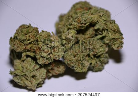 Bugatti OG is an indica dominant hybrid medical cannabis  strain