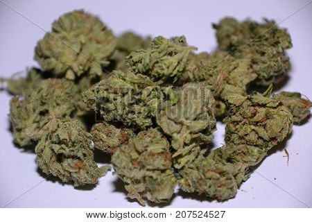 Bugatti OG is an indica dominant hybrid medical cannabis  strain