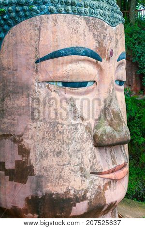 Leshan July 2011 - In July many visitor come to see this site of the world most impressive religious statue to enjoy the garden the temple and the gardens of this UNESCO site. This is a close up of the head of the Leshan Buddha