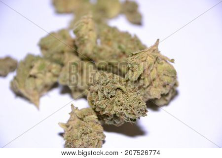 monster glue is an indica cannabis strain