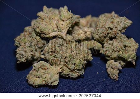 monster glue is an indica cannabis strain