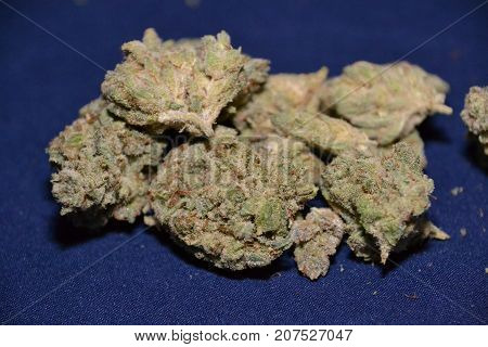 monster glue is an indica cannabis strain