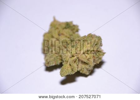 monster glue is an indica cannabis strain