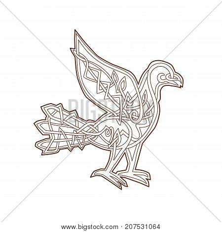 Celtic Knotwork or pseudo-Celtic linear knot style illustration of a Dove, pigeon bird viewed from side on isolated background.
