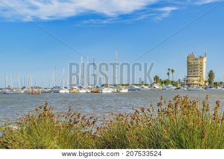 Summer day scene at small recreational port at Montevideo Uruguay