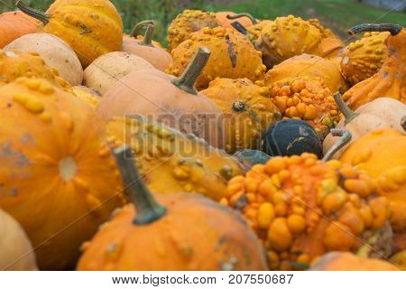 small decorative autumn pumpkins on a straw ball