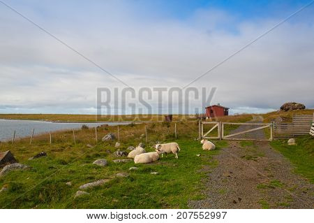 On the coast in Eggum Lofoten Islands Norway