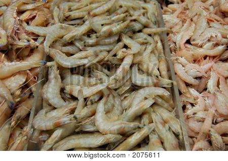 002 Prawns