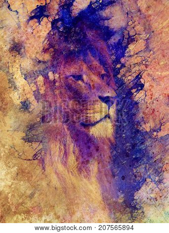 Lion face and graphic effect. Computer collage