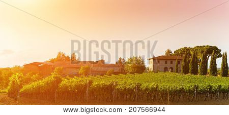 Classic view of scenic Tuscany landscape in beautiful golden morning light at sunrise in summer. Montalcino Italy