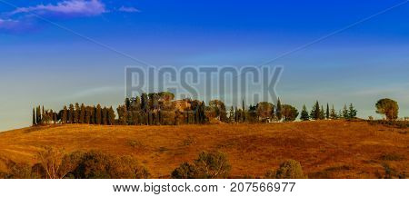 Classic view of scenic Tuscany landscape in beautiful golden morning light at sunrise in summer. Montalcino Italy