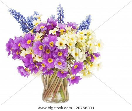 Sprigs Muscari And Primroses Flowers In Small Glass