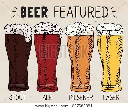 Beer featured. Beautiful illustration of stout, ale, light and lager beer