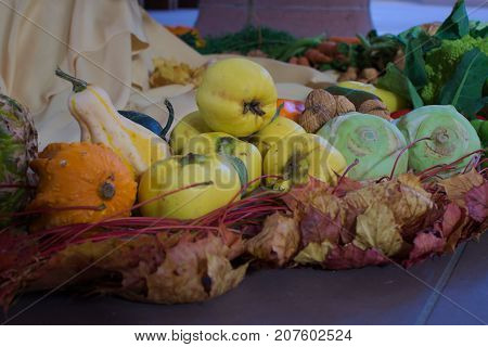 fresh fruits and vegetables for harvest festival