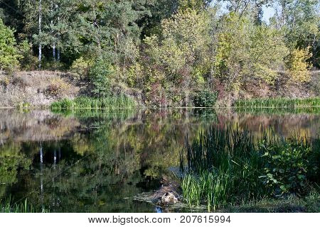 Autumn river landscape - a good screensaver for the gadget.
