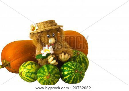 Autumn still life. The harvest is harvested and under reliable protection. White background