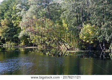 Autumn river landscape - a good screensaver for the gadget.