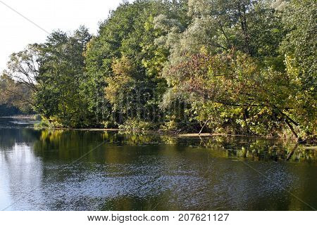 Autumn river landscape - a good screensaver for the gadget.
