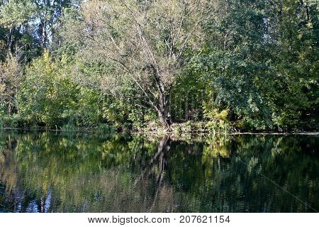 Autumn river landscape - a good screensaver for the gadget.