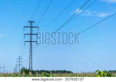A number of high voltage poles leaving into the distance with high voltage wires. In the foreground a field of corn. In the background a blue sky with clouds. Electricity high voltage.