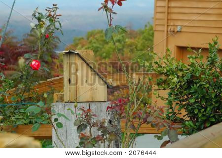 Birdhouse sulla collina