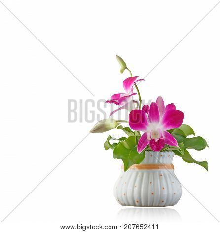 Boquet of orchid flowers and green leaf isolated on white background with clipping path.