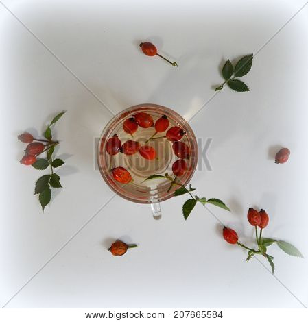 Decoction with dog rose in a cup Rosehip