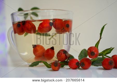 Decoction with dog rose in a cup Rosehip