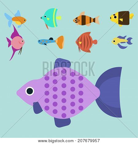 Exotic tropical fish race different breed colors underwater ocean species aquatic strain nature flat isolated vector illustration. Decorative wildlife sort cartoon fauna aquarium water marine life.