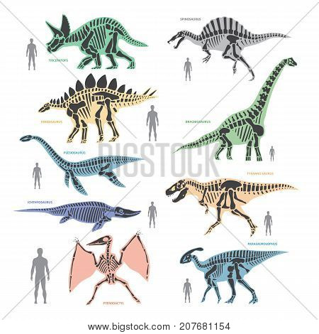 Dnosaurs seletons silhouettes bone animal and jurassic monster predator dino vector flat illustration. Reptile paleontology old bones.