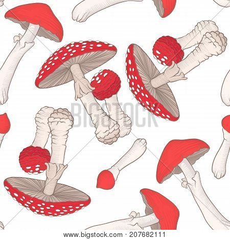 Seamless pattern and background with amanita mushrooms. Stock line vector illustration.