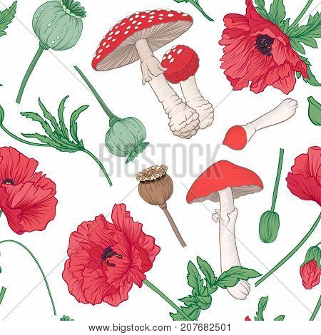 Seamless pattern and, background with red opium poppy and amanita mushroom. Stock line vector illustration.