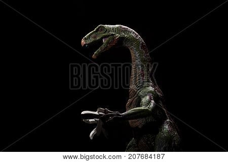 nothronychus toys upper part on a dark background