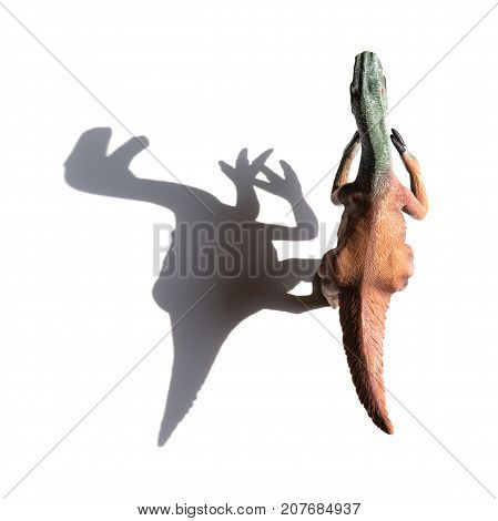 top view nothronychus toy with shadow on a white background