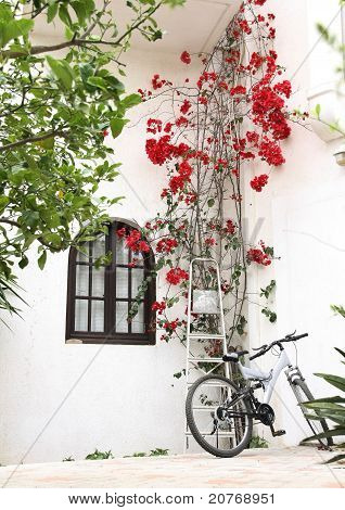 Casa vacanza per backpackers