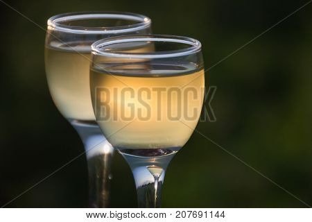 Two glasses of white wine on a green background