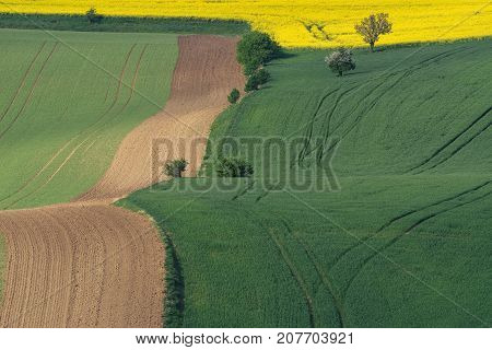 Green fields in the evening in South Moravia Czech Republic. Waves hills with green grass rolling fields. Beautiful spring landscape at sunset. Agriculture. Colorful nature background. Concept
